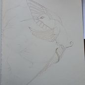 My project in Surrealist Illustration Inspired by Nature course. Traditional illustration, Pencil Drawing, Drawing, Artistic Drawing, and Naturalistic Illustration project by carmen conway - 09.03.2021