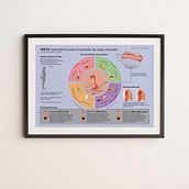 Infografías. Een project van  Ontwerp,  Infographics, Traditionele illustratie, Fotografie,  Reclame, Educatie y Redactioneel ontwerp van Fernando Sarmiento - 03.09.2021