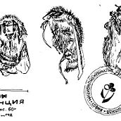 Mi Proyecto del curso: Primera prueba. Un progetto di Design di tatuaggi di laflaru - 03.09.2021