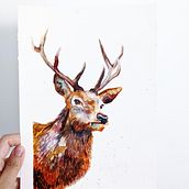My Project: The Stag. Traditional illustration, Watercolor Painting, Realistic Drawing, and Naturalistic Illustration project by sandralenore - 08.21.2021