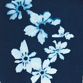 Alchemy. Projekt z dziedziny Fotografia, Trad, c i jna ilustracja użytkownika Anne McCallum - 04.09.2021