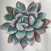 My project in Botanical Sketchbooking: A Meditative Approach course. Un progetto di Illustrazione tradizionale, Bozzetti, Disegno, Pittura ad acquerello, Illustrazione botanica e Sketchbook di Gabriela - 04.09.2021