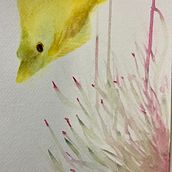 Anenome and yellow tang fish. Een project van Traditionele illustratie, Schilderij, Aquarelschilderen y Naturalistische illustratie van mflynn0128 - 05.09.2021
