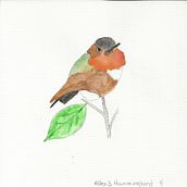 Series of gouache paintings of hummingbirds. Een project van Schilderij van Kendall Stewart - 07.09.2021