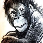 Animals in black. Un proyecto de Ilustración tradicional, Dibujo, Dibujo a lápiz y Dibujo realista de Silvia Roukens - 08.09.2021