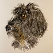 Watercolour animals . Fine Arts, and Watercolor Painting project by Siuna Reid - 09.08.2021