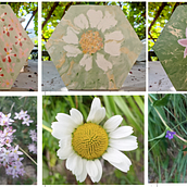 Cementine "I fiori di mio cognato". Arts, and Crafts project by Maria Averame - 09.08.2021