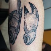 Mi Proyecto del curso: Tatuaje botánico con puntillismo. Un progetto di Illustrazione tradizionale, Design di tatuaggi e Illustrazione botanica di Esteban Ezequiel Aguilar - 09.09.2021