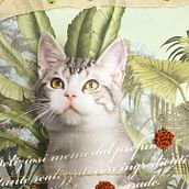 Il mio progetto del corso: Tecniche di ricamo sperimentale su carta. Fine Arts, Collage, and Embroider project by Elena Marchionni - 09.09.2021