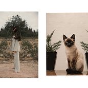 Elegancia felina  Ein Projekt aus dem Bereich Fotografie von Manuel Gamboa - 09.09.2021