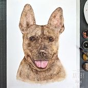 Watercolor Pet Portraits of my boy. Drawing, Traditional illustration, Painting, and Naturalistic Illustration project by Waiyi Choi - 09.09.2021