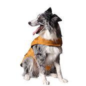 Mi Proyecto del curso: Fotografía lifestyle de perros . Fotografie, Fotografie portret, Instagram Fotografie, Fotografie documentară și Fotografii de stil de viață de Wendy Espinoza - 09.10.2021