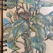 Mon projet du cours : Carnet de croquis botanique : une approche méditative. Un proyecto de Ilustración tradicional, Bocetado, Dibujo, Pintura a la acuarela, Ilustración botánica y Sketchbook de Véka - 10.09.2021