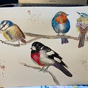 My project in Artistic Watercolor Techniques for Illustrating Birds course. Traditional illustration, Watercolor Painting, Realistic Drawing, and Naturalistic Illustration project by laketrek - 09.10.2021