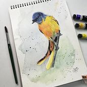 My project in Artistic Watercolor Techniques for Illustrating Birds course. Traditional illustration, Watercolor Painting, Realistic Drawing, and Naturalistic Illustration project by Manish P M - 09.11.2021