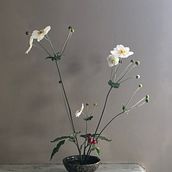 My project in Floral Arrangement Design with Seasonal Blooms course. Un progetto di Interior design, Paesaggismo, Interior Design e DIY di Louise Clark - 09.09.2021