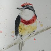 Mi Proyecto del curso: Ilustración naturalista de aves con acuarela. Traditional illustration, Watercolor Painting, Realistic Drawing, and Naturalistic Illustration project by Anny Alvarez Delgadillo - 09.12.2021
