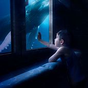 Mi Ballena. Un proyecto de Diseño editorial, Fotografía artística y Fotografía de Lourdes Sancho Lain - 12.09.2021