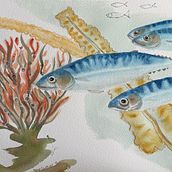 Mon projet du cours : Illustration d'univers marins à l'aquarelle. Traditional illustration, Painting, Watercolor Painting, and Naturalistic Illustration project by Diane Gauthier - 09.12.2021