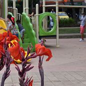 Una salida al parque. Projekt z dziedziny Fotografia użytkownika Mariana Hincapié - 12.09.2021