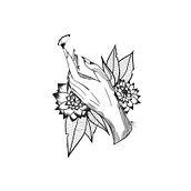 My project in Botanical Tattoo Design with Procreate course. Traditional illustration, Digital Illustration, Tattoo Design, and Botanical Illustration project by Noah Jory - 09.28.2021