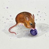 My first project  -  I decided to do a wood mouse. Traditional illustration, Watercolor Painting, Realistic Drawing, and Naturalistic Illustration project by cv2yrj5g99 - 09.11.2021