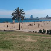 Barcelona Gotica por Maite Aguirrezabala. Social Media, Mobile Photograph, Digital Marketing, Digital Photograph, Mobile Marketing, Instagram, Content Marketing, Instagram Photograph, Instagram Marketing, Lifest, and le Photograph project by Maite Aguirrezabala - 09.13.2021