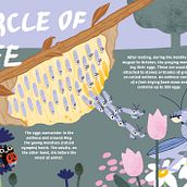 My course project: Informative illustration. Traditional illustration, Fine Arts, Graphic Design, Creativit, and Digital Illustration project by Yasmin Anilgan - 09.13.2021