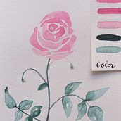 Aquarelles florales. Traditional illustration, Fine Arts, Painting, Drawing, Watercolor Painting, Botanical Illustration, and Photograph project by Mathilde Troussard - 09.14.2021