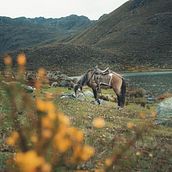 Mi Proyecto del curso: Fotografía de paisaje y naturaleza. Photograph, Outdoor Photograph, Instagram Photograph, Documentar, Photograph, and Photographic Composition project by Solanger Mendoza - 09.14.2021