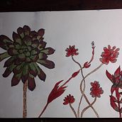 My project in Botanical Sketchbooking: A Meditative Approach course. Un progetto di Illustrazione tradizionale, Bozzetti, Disegno, Pittura ad acquerello, Illustrazione botanica e Sketchbook di jo.skuse - 15.09.2021
