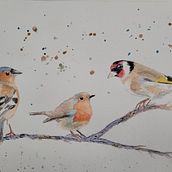 My project in Artistic Watercolor Techniques for Illustrating Birds course. Un proyecto de Ilustración tradicional, Pintura a la acuarela, Dibujo realista e Ilustración naturalista				 de beckamcmanus - 17.09.2021