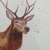 My project in Expressive Animal Portraits in Watercolor course. Un projet de Illustration traditionnelle, Aquarelle, Dessin réaliste et Illustration naturaliste de maryclarity - 17.09.2021