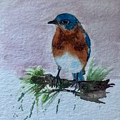 Mein Kursprojekt: Illustriere Vögel mit expressiven Aquarelltechniken. Ilustração tradicional, Pintura em aquarela, Desenho realista e Ilustração naturalista projeto de valerie_83 - 18.09.2021
