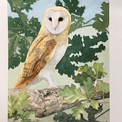 My project in Expressive Animal Portraits in Watercolor course. Traditional illustration, Watercolor Painting, Realistic Drawing, and Naturalistic Illustration project by rob eadie - 09.19.2021