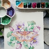Mi Proyecto del curso: Dibujo y composición naturalista en acuarela. Un proyecto de Ilustración tradicional, Dibujo, Pintura a la acuarela e Ilustración naturalista				 de Mayka Mellado Díaz - 19.09.2021