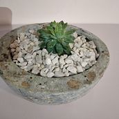 Color Purpura . % Silvia Beatriz Sain tarafından hazırlanan Sanat ve El Sanatları projesi - 09.15.2021