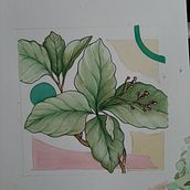 Mi Proyecto del curso: Sketchbook botánico: una aproximación meditativa. Traditional illustration, Sketching, Drawing, Watercolor Painting, Botanical Illustration, and Sketchbook project by Carla Antar - 09.19.2021