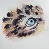 My Project: Leopard cub's eye. Traditional illustration project by Helen Russell - 09.19.2021