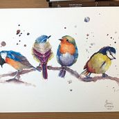 My project in Artistic Watercolor Techniques for Illustrating Birds course. Un proyecto de Ilustración tradicional, Pintura a la acuarela, Dibujo realista e Ilustración naturalista				 de Francesca Fiumara - 20.09.2021