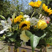 Mi Proyecto del curso: Diseño y creación de composiciones florales. Interior Design, L, scape Architecture, Decoration, DIY, Floral, and Plant Design project by alupe1338 - 09.22.2021
