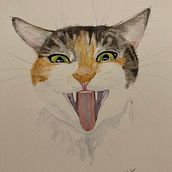 My project in Expressive Animal Portraits in Watercolor course Ein Projekt aus dem Bereich Traditionelle Illustration, Aquarellmalerei, Realistische Zeichnung und Naturalistische Illustration von madarahudson - 23.09.2021