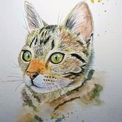 My project in Expressive Animal Portraits in Watercolor course Ein Projekt aus dem Bereich Traditionelle Illustration, Aquarellmalerei, Realistische Zeichnung und Naturalistische Illustration von Shirley Alexander - 23.09.2021