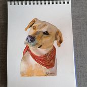 Mi Proyecto del curso: Retratos expresivos de animales en acuarela. Ilustração tradicional, Pintura em aquarela, Desenho realista e Ilustração naturalista projeto de loretosanchez_rivera - 21.09.2021