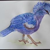 My project in Naturalist Bird Illustration with Watercolors course. Un proyecto de Ilustración tradicional, Pintura a la acuarela, Dibujo realista e Ilustración naturalista				 de janerob100 - 31.08.2021
