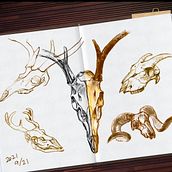 Sketches. Un progetto di Illustrazione tradizionale di kululu - 25.09.2021