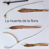 Mi Proyecto del curso: Las leyes de la percepción visual: unidad, peso, equilibrio y movimiento Ein Projekt aus dem Bereich Kunstleitung, Bildende Künste und Grafikdesign von Diego Barba García - 25.09.2021