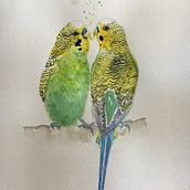 My project in Artistic Watercolor Techniques for Illustrating Birds course - Budgerigars Ein Projekt aus dem Bereich Traditionelle Illustration, Aquarellmalerei, Realistische Zeichnung und Naturalistische Illustration von Ruth Sparrow - 24.09.2021