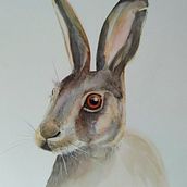 My project in Experimental Watercolor Techniques for Beginners course. Traditional illustration, Fine Arts, Watercolor Painting, and Naturalistic Illustration project by ankabungert - 09.27.2021