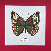 Ilustración de Mariposas con acrílico. Traditional illustration, Fine Arts, Painting, Drawing, Acr, lic Painting, and Botanical Illustration project by Eva Ramon Vilà - 09.27.2021